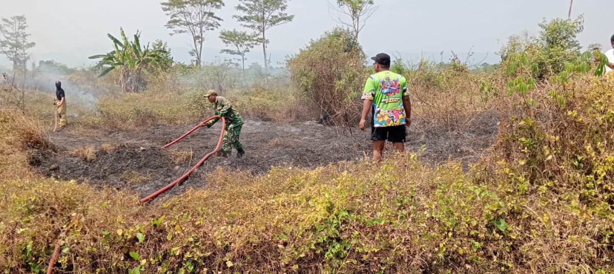 Lahan Kosong Ex-Bupati Pekalongan di Kajen Terbakar, Diduga Akibat Puntung Rokok