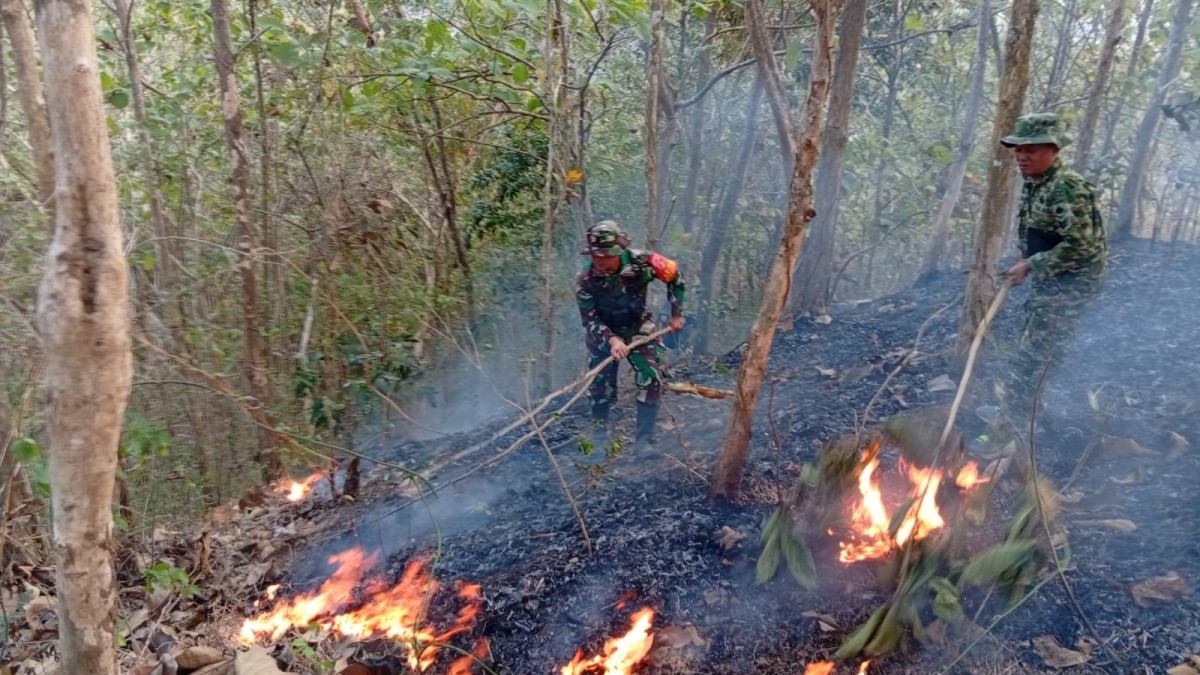 Gerak Cepat Koramil 14/Cimanggu Padamkan Kebakaran Lahan di Bantarmangu