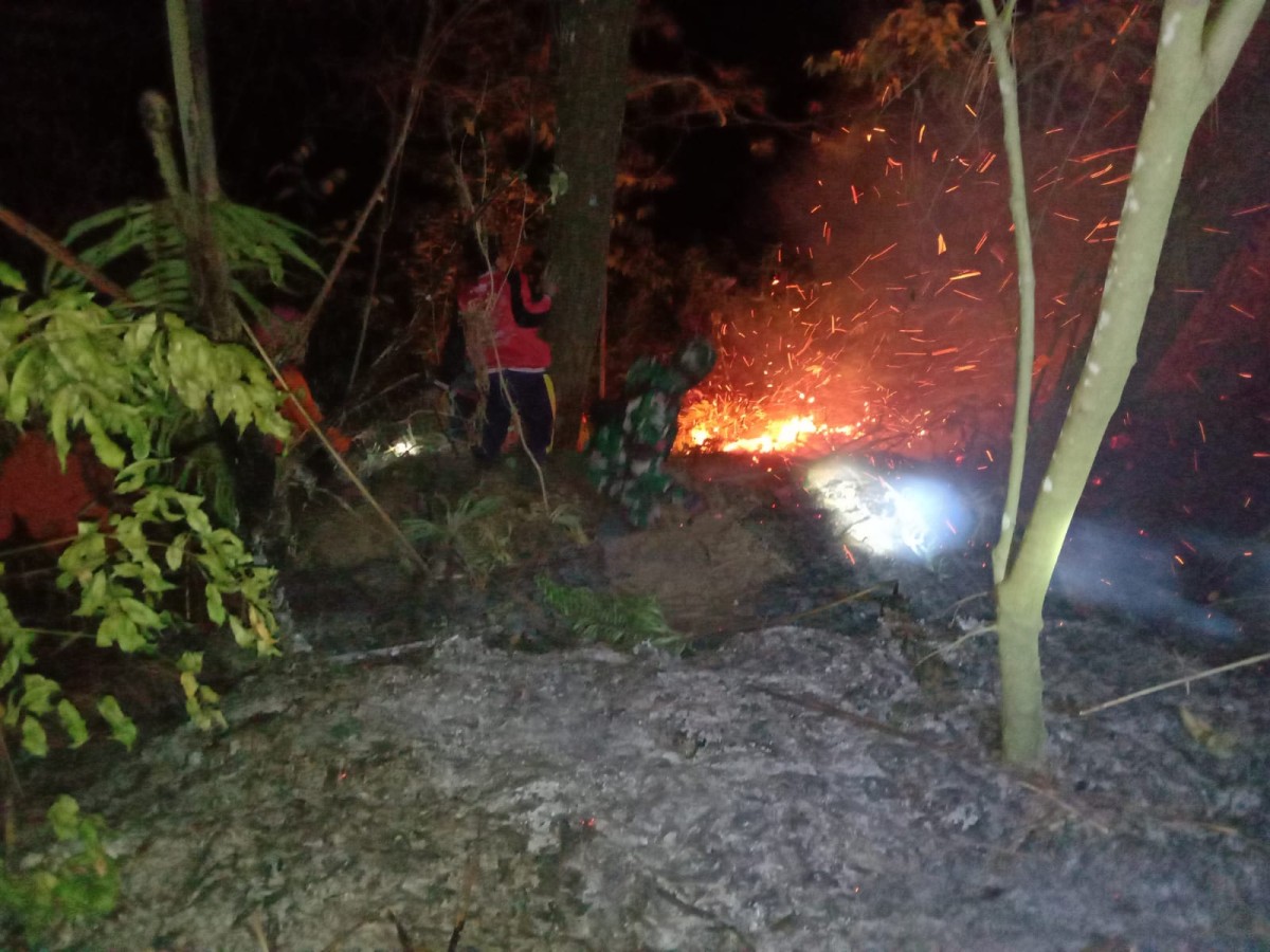 Wonosobo – Kebakaran hutan pinus terjadi di kawasan hutan produksi milik Perhutani, petak 24A RPH Kleseman, Dusun Wonosari, Desa Wonosari, Kecamatan Kalikajar, Kabupaten Wonosobo, Sabtu (5/9/2026) malam.