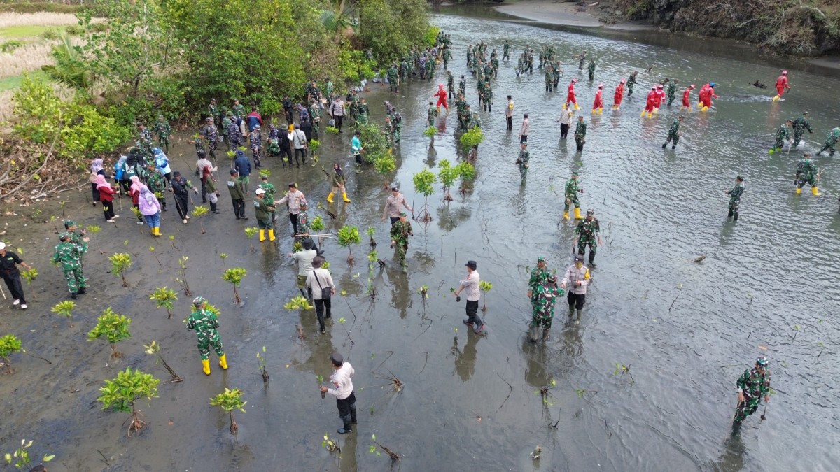 Cegah Abrasi, Kodim 0703/Cilacap Tanam 1.000 Mangrove dan 100 Kopi dalam Rangka HUT Ke-81 TNI dan HUT Ke-76 Kodam IV/Diponegoro