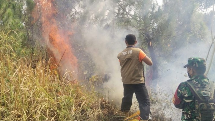 Babinsa Koramil 13/Majenang Bersama Perhutani Cegah Kebakaran Meluas