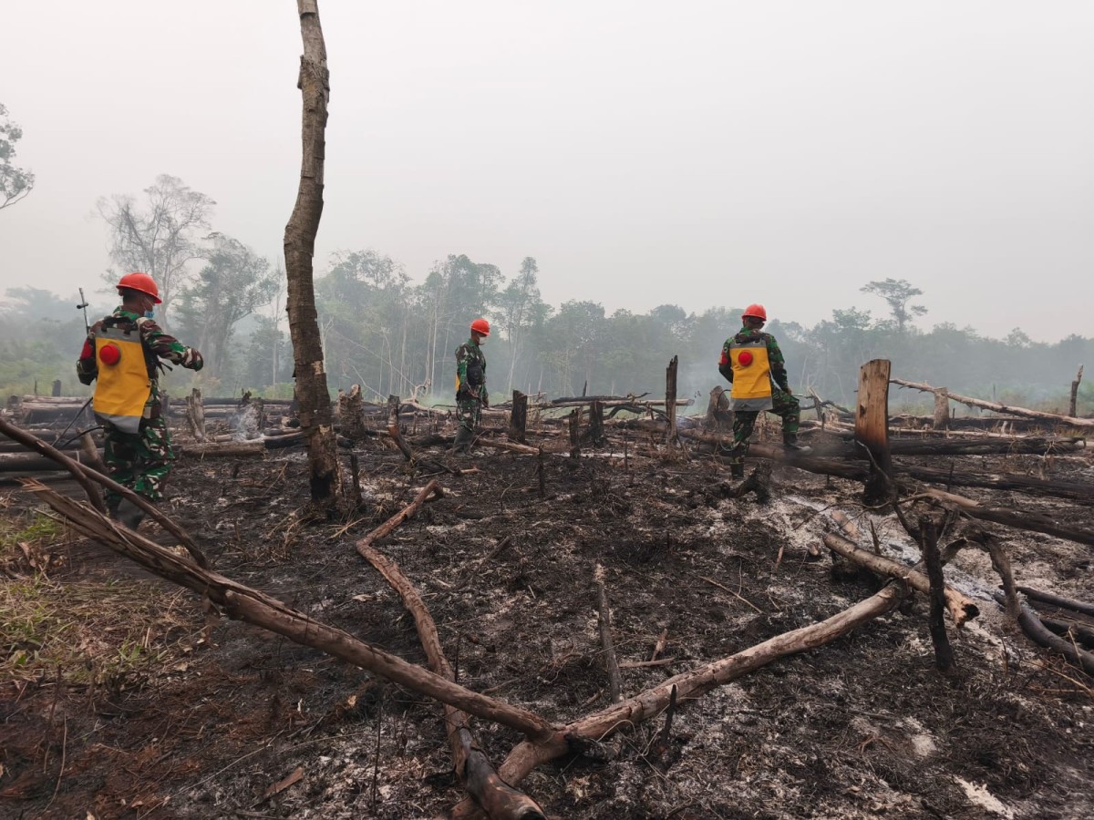 Koramil 1204-01/Kapuas Padamkan Dua Titik Karhutla di Desa Lape