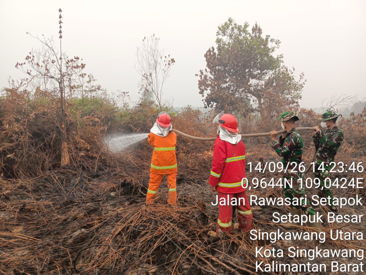 Api Padam, Asap Masih Mengepul, Babinsa dan Tim Gabungan Perketat Pendinginan Karhutla di Singkawang Utara
