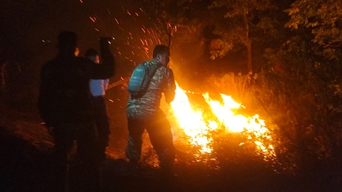Kebakaran Lahan Di Padaherang Pangandaran, 1,5 Hektare Perkebunan Terbakar