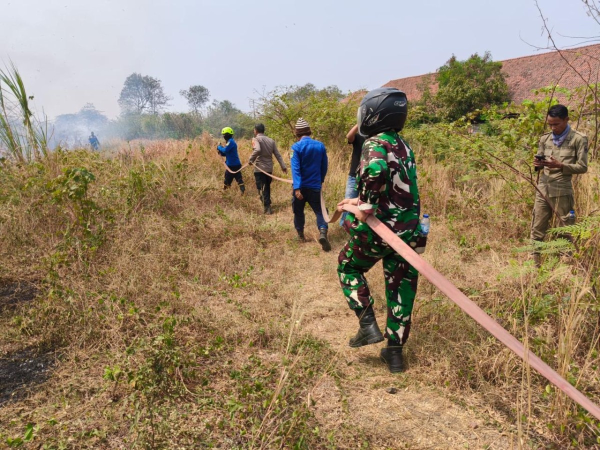 Bakar Rumput Kering, Api Merembet dan Hanguskan 1 Hektare Lahan PT Carvil di Jatiwangi