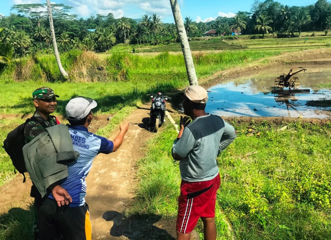 Babinsa Bojongtugu Dampingi Poktan Dukung Ketahanan Pangan di Curugkembar