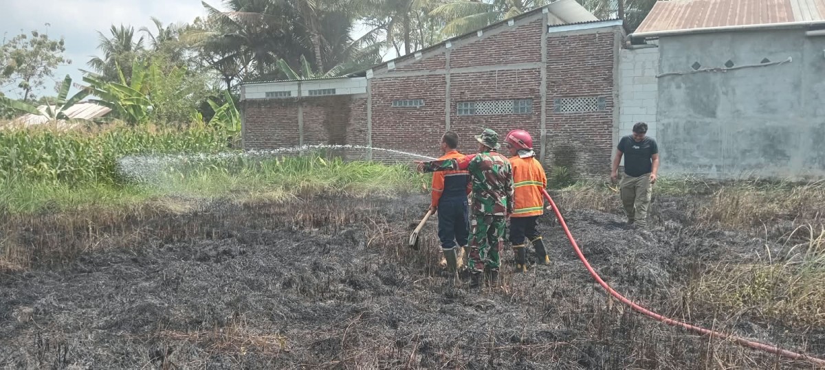 Koramil 03/Kalimanah Bantu Padamkan Kebakaran Lahan Kosong di Desa Babakan