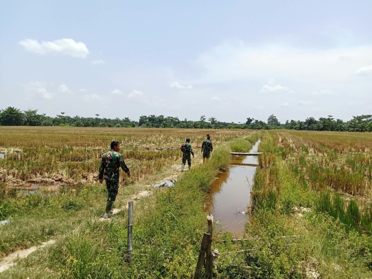 Kodim 0209/Labuhanbatu Gencarkan Mitigasi Karhutla, Hotspot Nihil