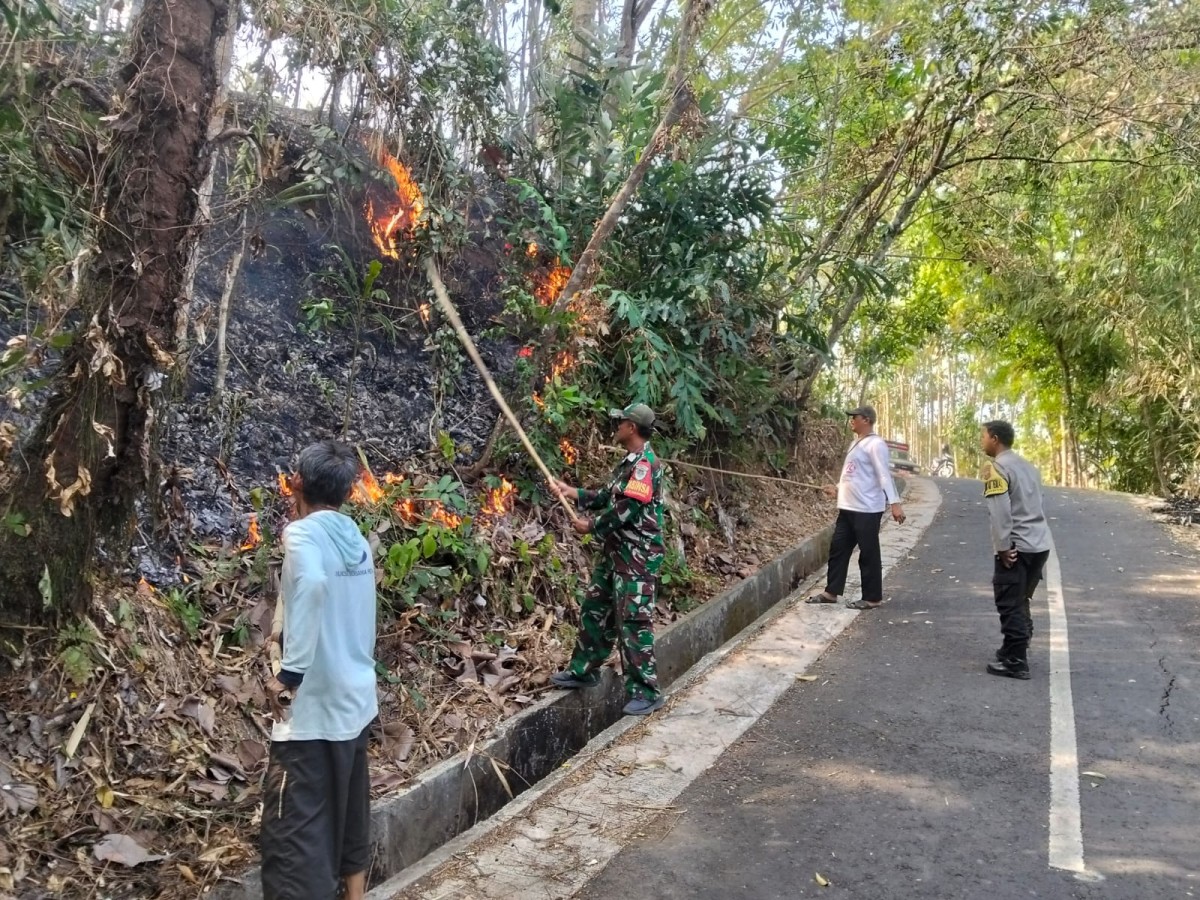 Kebakaran Lahan Seluas 3 Hektare di Dusun Priagung Kota Banjar Berhasil Dipadamkan