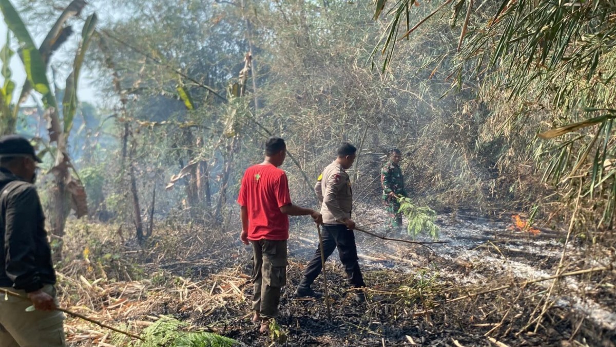 Nekat Bakar Sampah Pas Kemarau Ekstrem, Lahan Rumpun Bambu di Lojikobong Ludes Terbakar