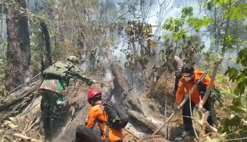 Api Meluas, Pohon Pinus Tumbang! Kodim 0707/Wonosobo bersama Tim Gabungan Padamkan KARHUTLA di Lahan Perhutani Kaliguwo-Kaliwiro dan Kedunggong