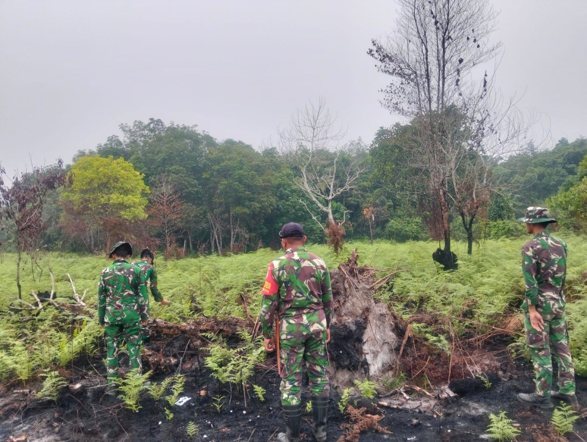Babinsa Temajuk Koramil 08/Paloh Lakukan Patroli Lahan Antisipasi Karhutla