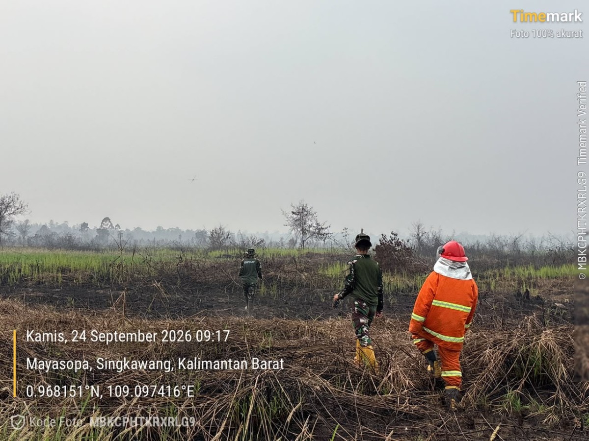 Pastikan Lahan Aman, Babinsa dan Satgas BKO Ground Check Lahan Terdampak Karhutla di Mayasopa