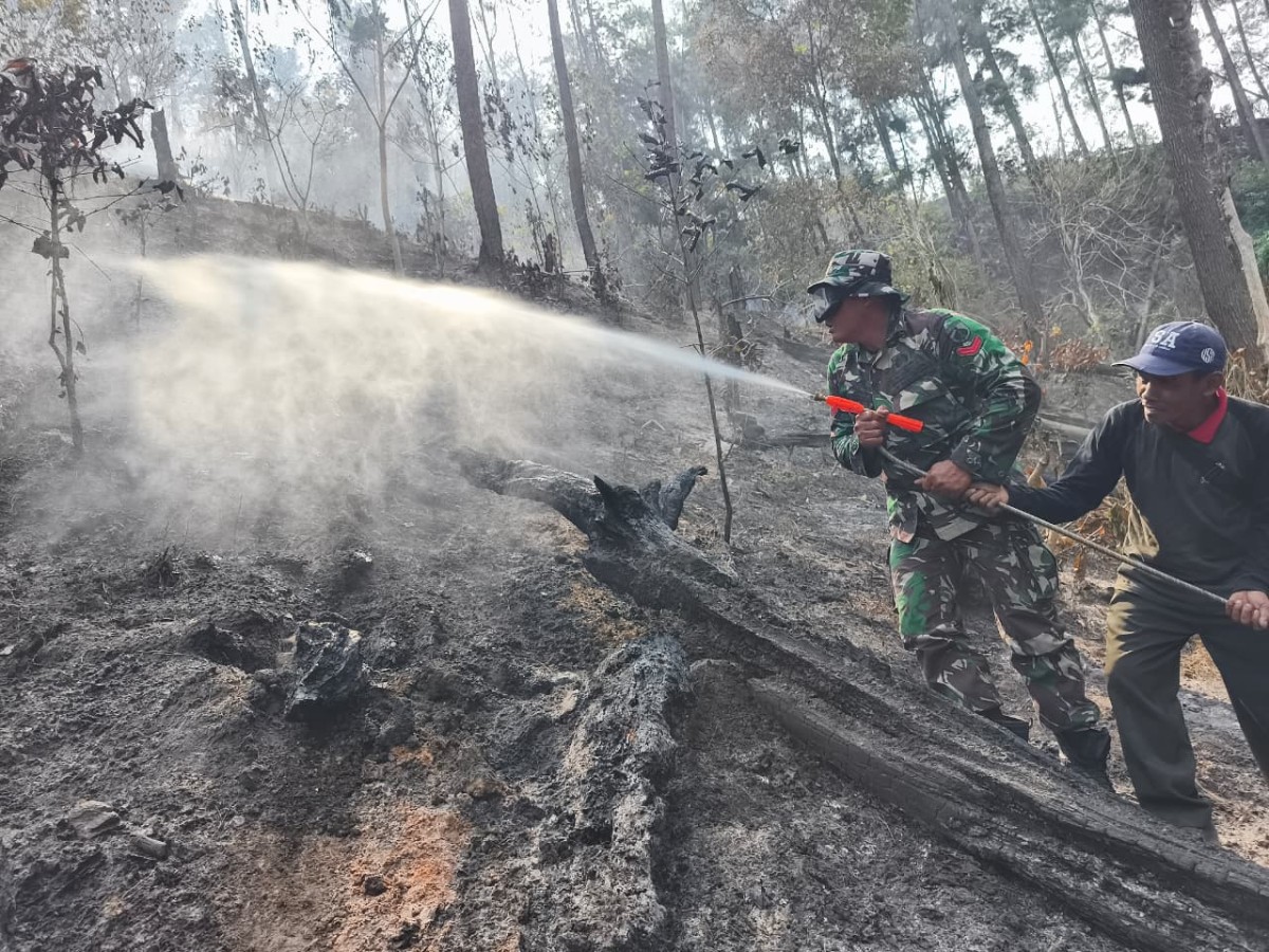 Cegah Api Muncul Kembali, Koramil 11/Kaliwiro Bersama Instansi Terkait Operasi Pendinginan Lahan Bekas Kebakaran Hutan di Bukit Bluwuk