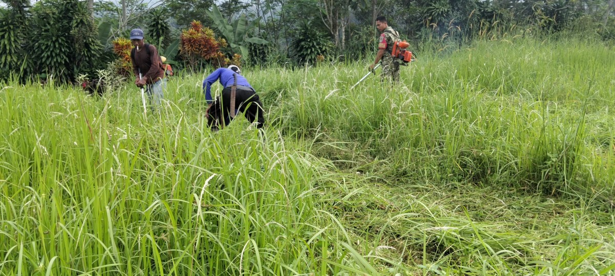 Aksi Nyata TNI, Babinsa Cikembang Turun Langsung Bersihkan Makam Bersama Warga