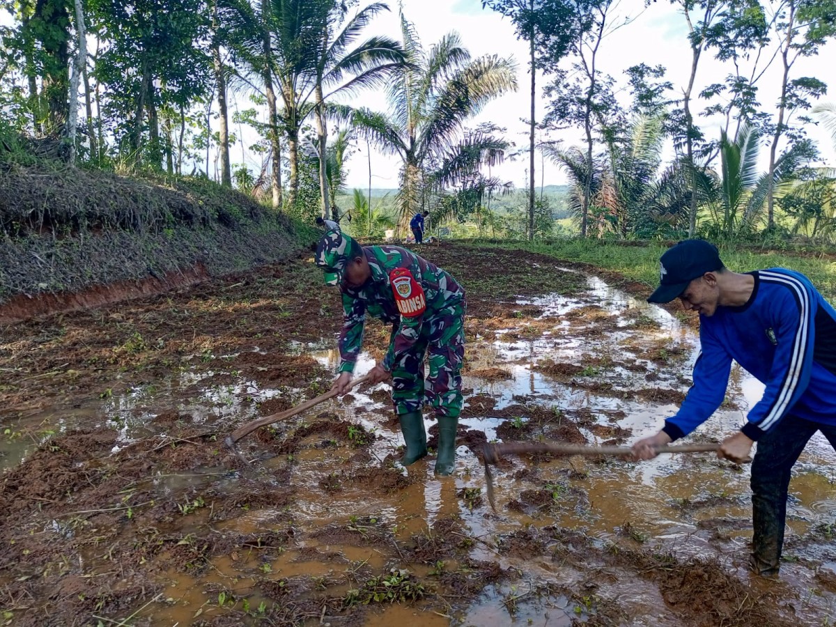 Serma Harun Dampingi Poktan Anggasura Perkuat Ketahanan Pangan di Desa Lengkong