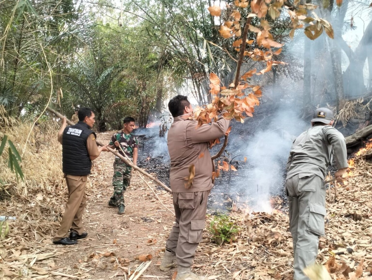 Kebun Bambu di Area Pemakaman Cikeusik Membara, Dua Hektare Lahan Hangus Dilalap Si Jago Merah