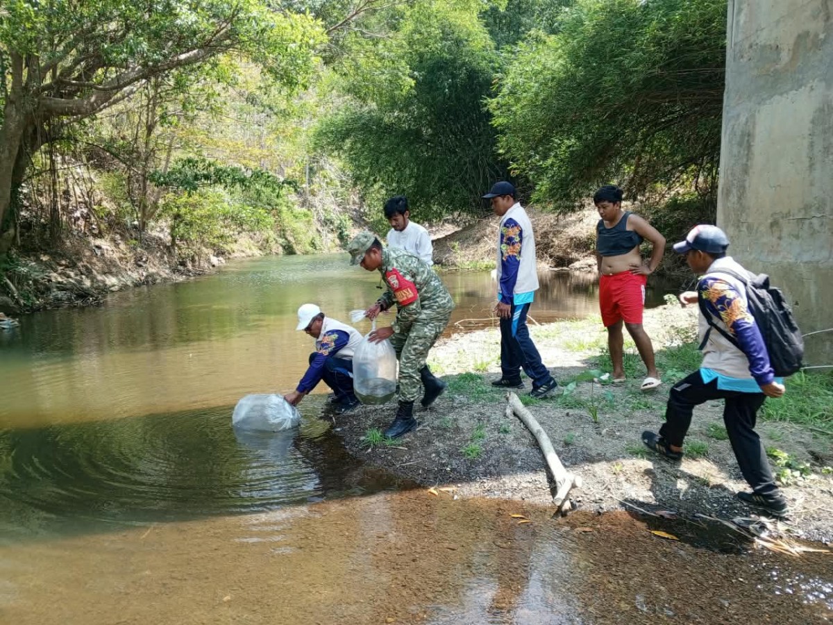 Babinsa Koramil Taliwang Dampingi Restocking Bibit Ikan Nila di Sungai Seminar Salit