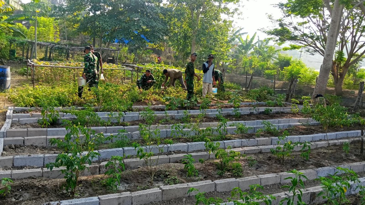 Kodim 1614/Dompu Perkuat Ketahanan Pangan melalui Penyiapan Lahan Integrated Farming