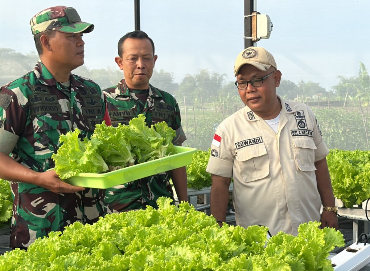 Modal Lahan Sempit, PNS Kodim 0732/Sleman Ini Raup Cuan Jutaan