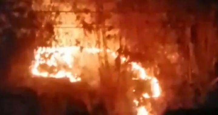 Kebakaran Lahan Bambu di Pengalusan Padam