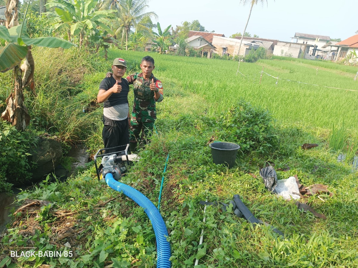 Babinsa Koramil 2201/Cisolok Dampingi Kegiatan Hanpangan di Desa Sirnarasa