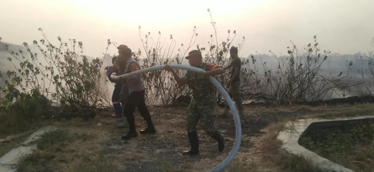 Lahan Kosong di Jatiwangi Majalengka Terbakar, Api Diduga Berasal dari Bakaran Sampah