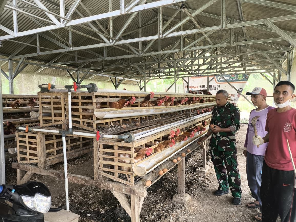 Babinsa Koramil 1503/Ciniru Sertu Yudha Pastikan Usaha BUMDes Bidang Peternakan Berjalan Baik