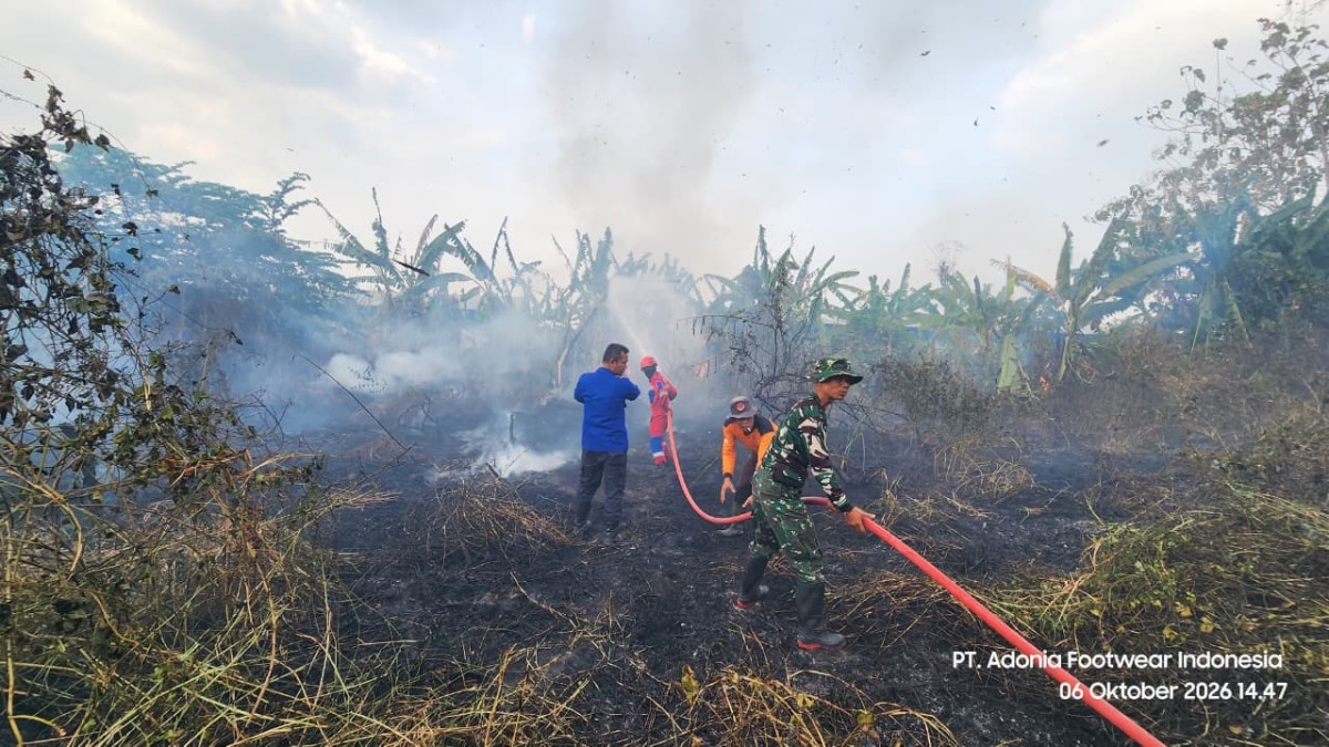 Babinsa Koramil 15/Lebaksiu Gerak Cepat Padamkan Karhutla di Lebaksiu Kidul