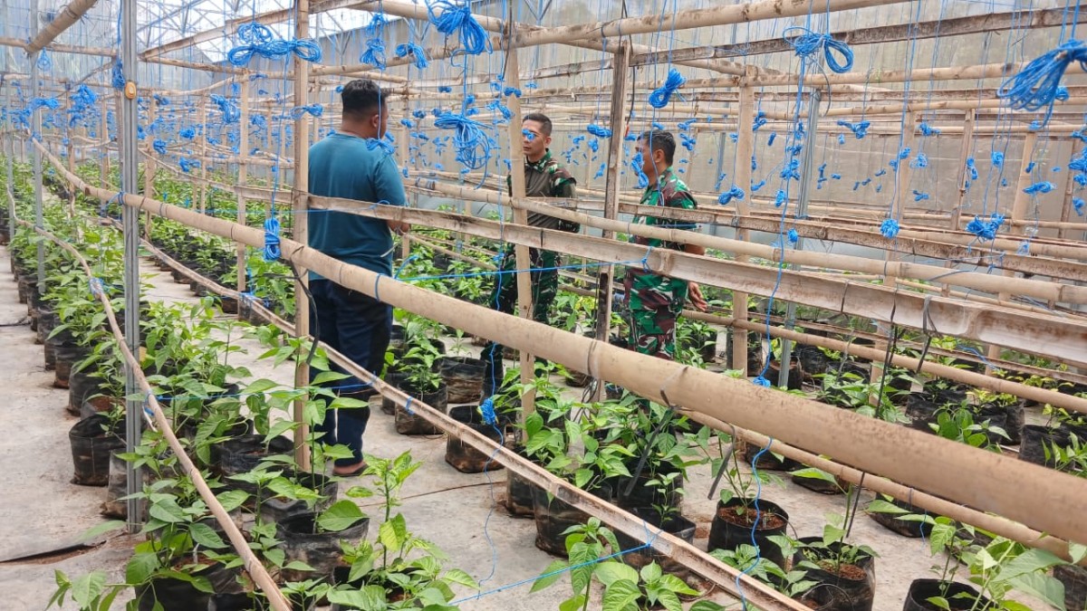 Dandim 0706/Temanggung Sambangi Gapoktan Rahayu Makmur, Dorong Semangat Petani Tingkatkan Produktivitas