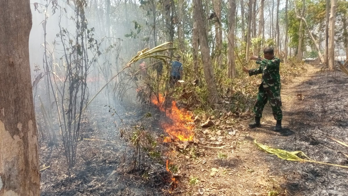 Gerak Cepat Aparat dan MPA Padamkan Kebakaran Lahan Perhutani