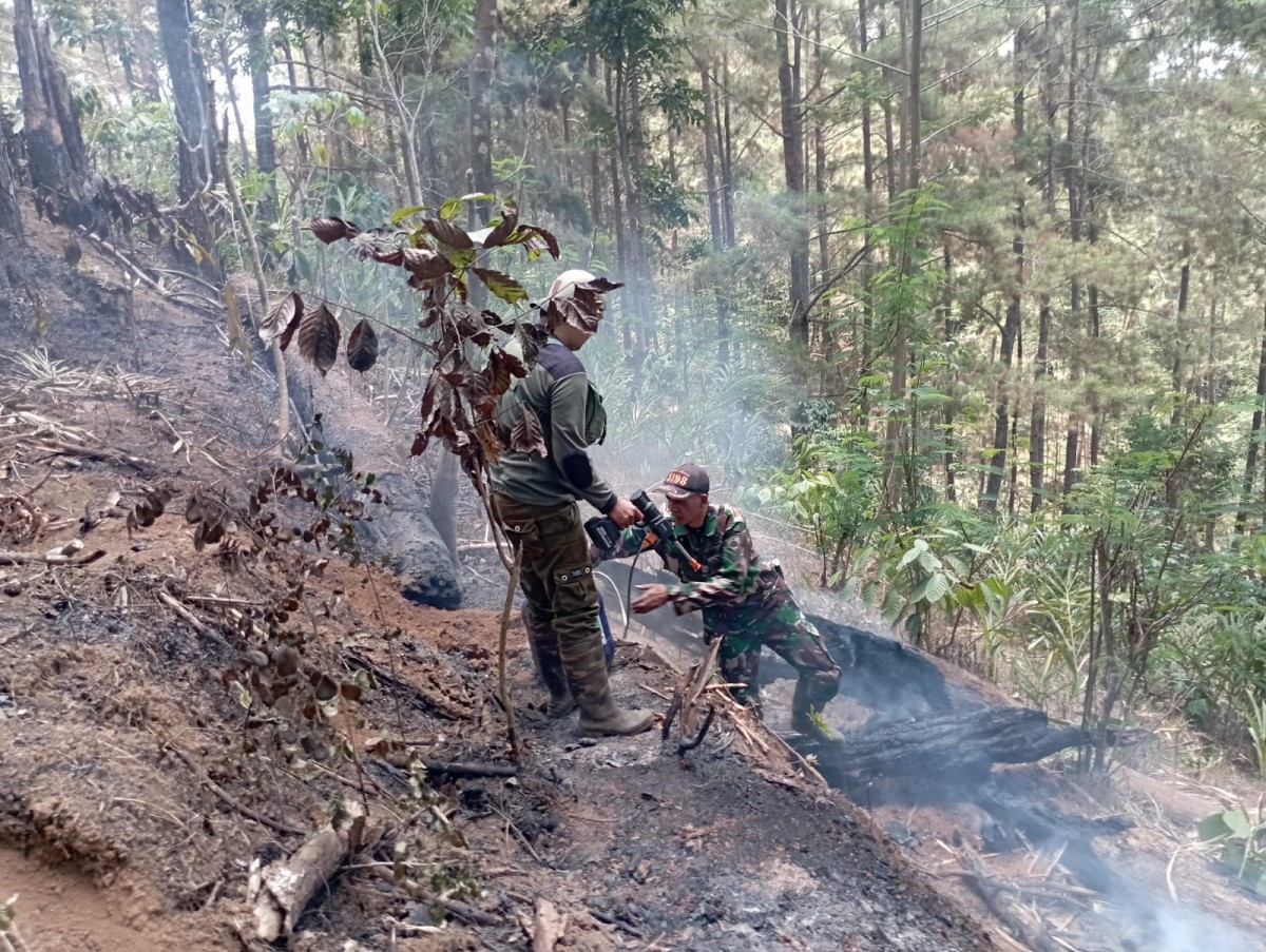 Serma Hidayat Patroli Pasca Kebakaran Hutan Pinus di Kepil, Asap Masih Terlihat