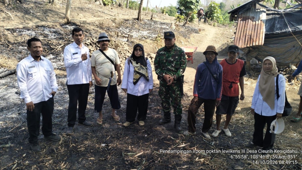 Babinsa Cieurih Sertu Junjun R Bersama Penyuluh Pertanian Dampingi Program IRPOM, Dukung Peningkatan Produktivitas Petani