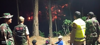 Sinergitas Forkopimcam Karangpucung Tangani Kebakaran Hutan Pinus di Tayem Timur