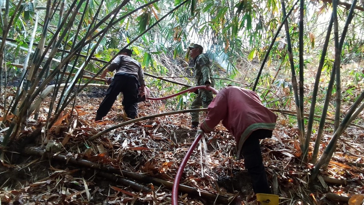 Kebakaran Landa Bukit Wisata Ajimut Waled, TNI-Polri dan Damkar Berhasil Padamkan Api