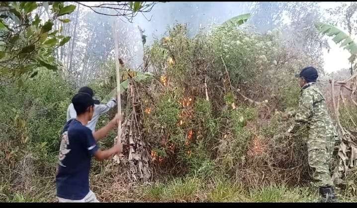 Detik-Detik Kebun Bambu di Sunia Majalengka Membara, Babinsa dan Warga Dibuat Keringat Dingin Padamkan Api Selama 3 Jam