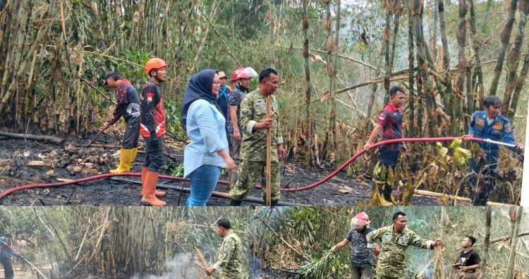 Sinergi TNI-Polri, BPBD dan Warga, Kebakaran Kebun Bambu Seluas 1.000 Meter Persegi di Sukabumi Berhasil Dipadamkan
